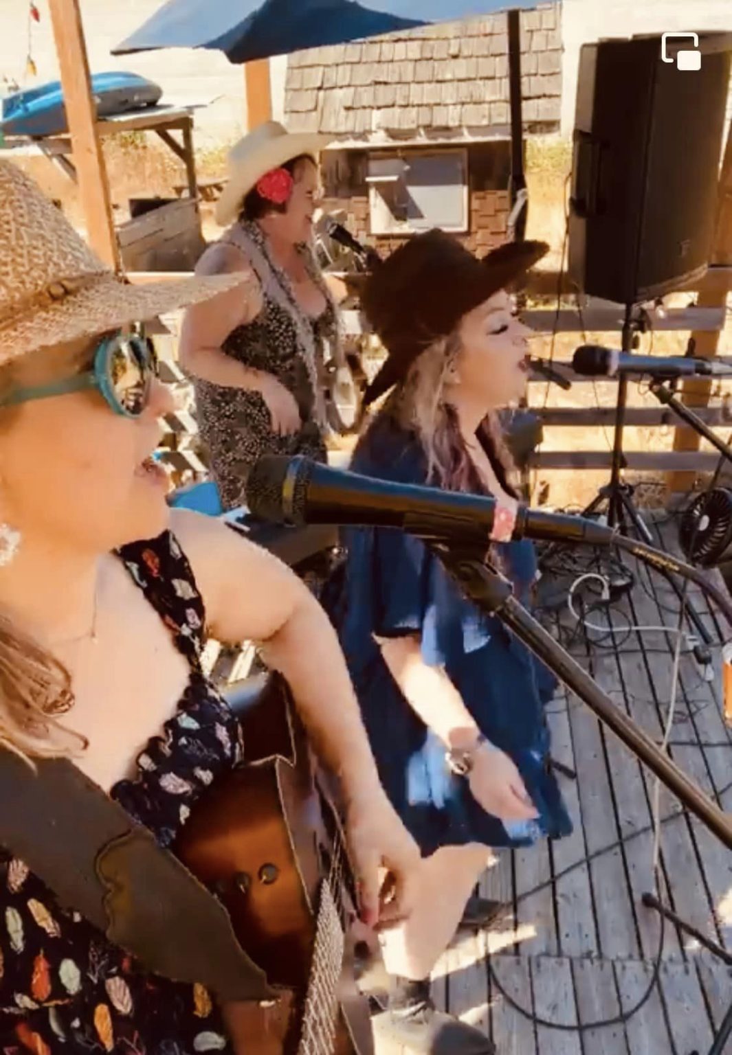 Village Wines Live Music Dalia Image 2